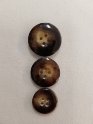 Edler Hornknopf, glänzend 