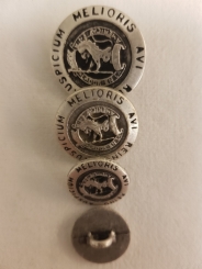 Trachtenknopf mit Muster 